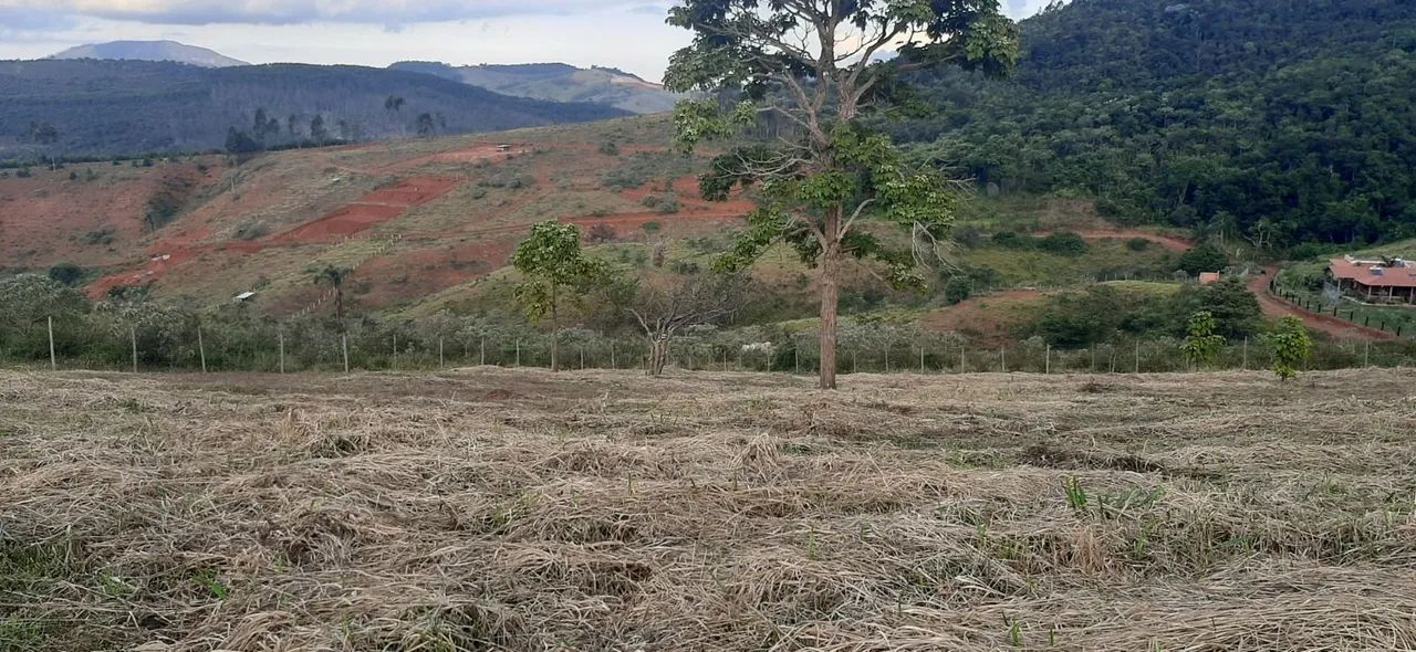Chácara Condomínio Vitória  - Foto 4