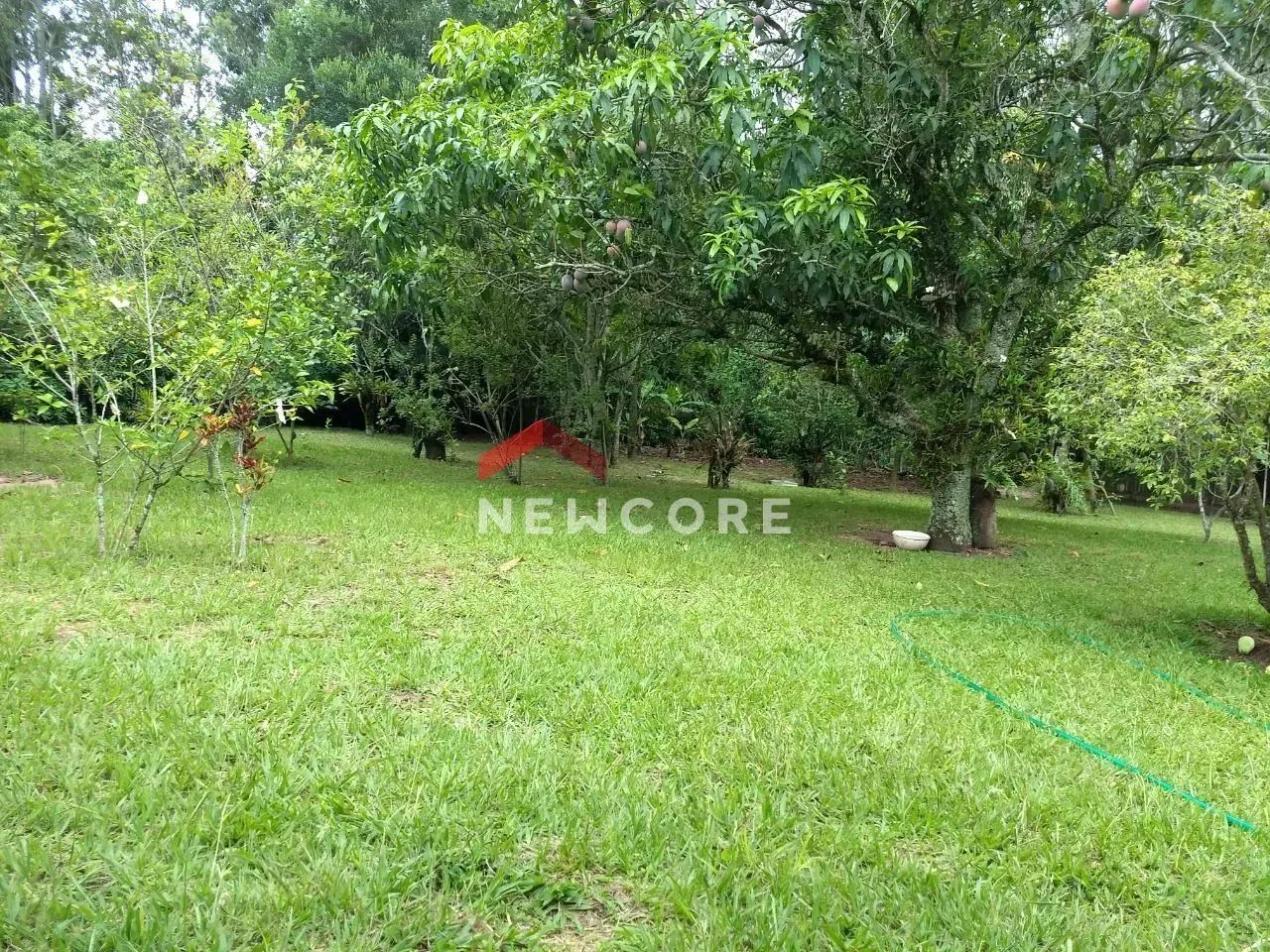 Chácara em Itirapina - Centro - Itirapina/SP - Foto 5