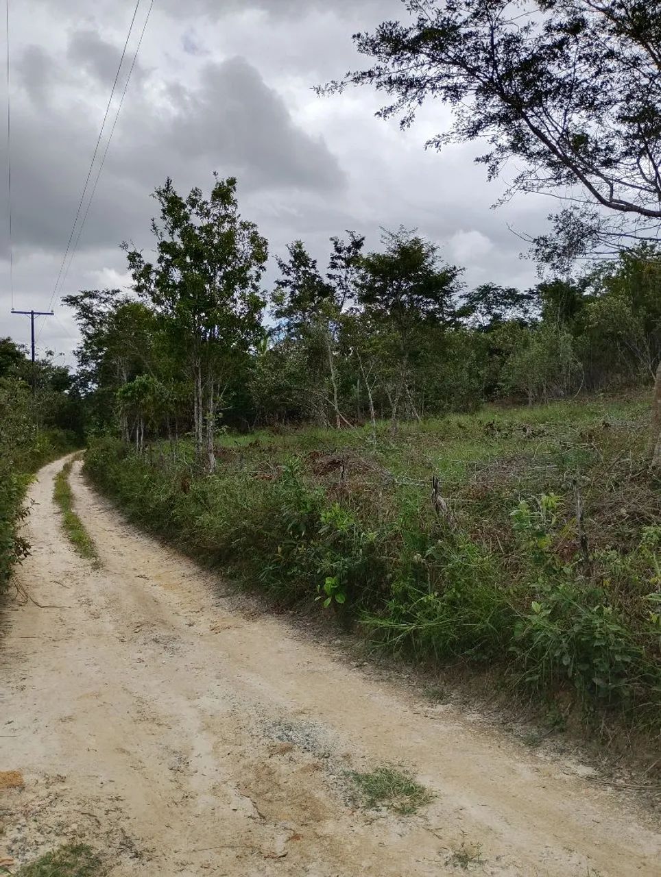 VENDO SITIO EM CATU/BA 