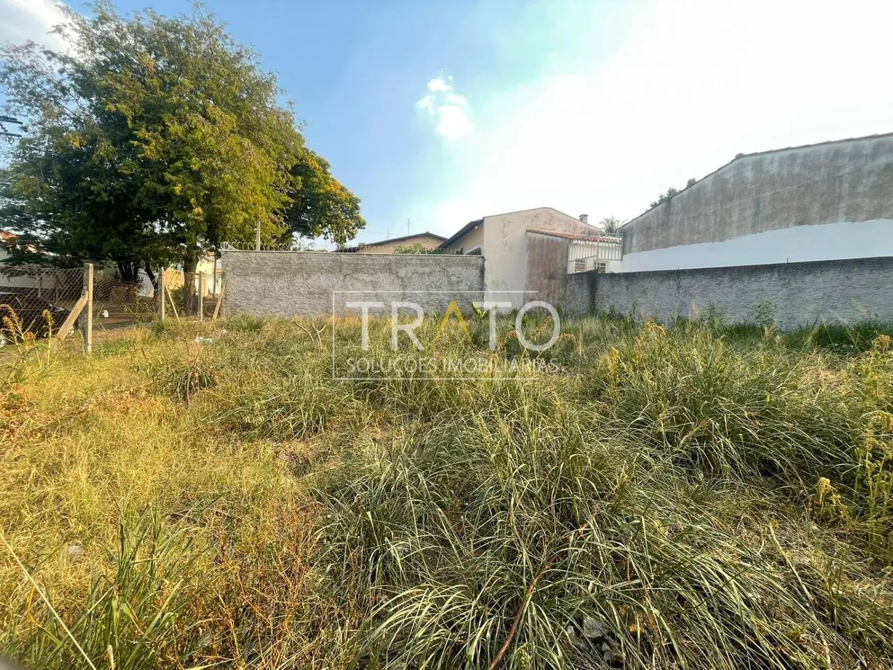 terreno - Parque São Quirino - Campinas - Foto 2