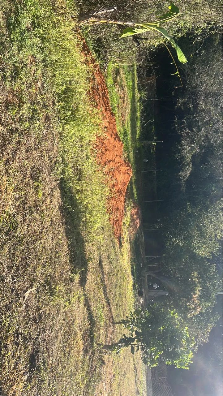 Terreno 20x40 