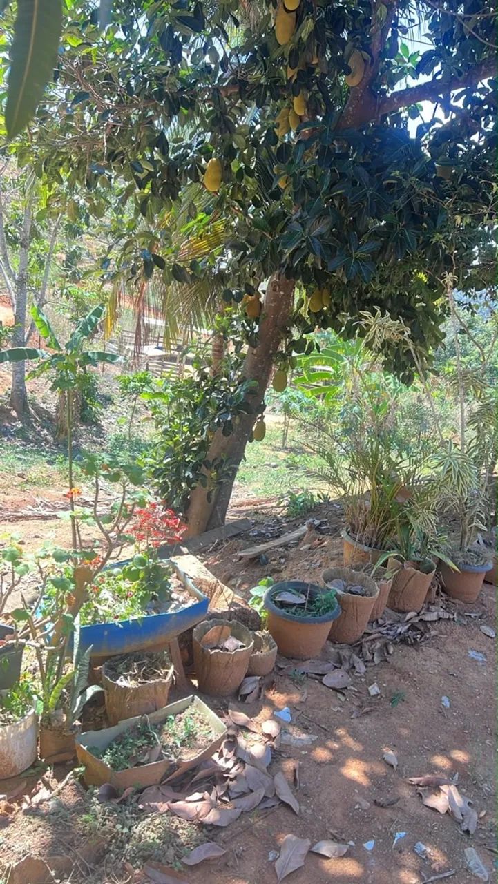  Vendo sítio em Colatina - Foto 4