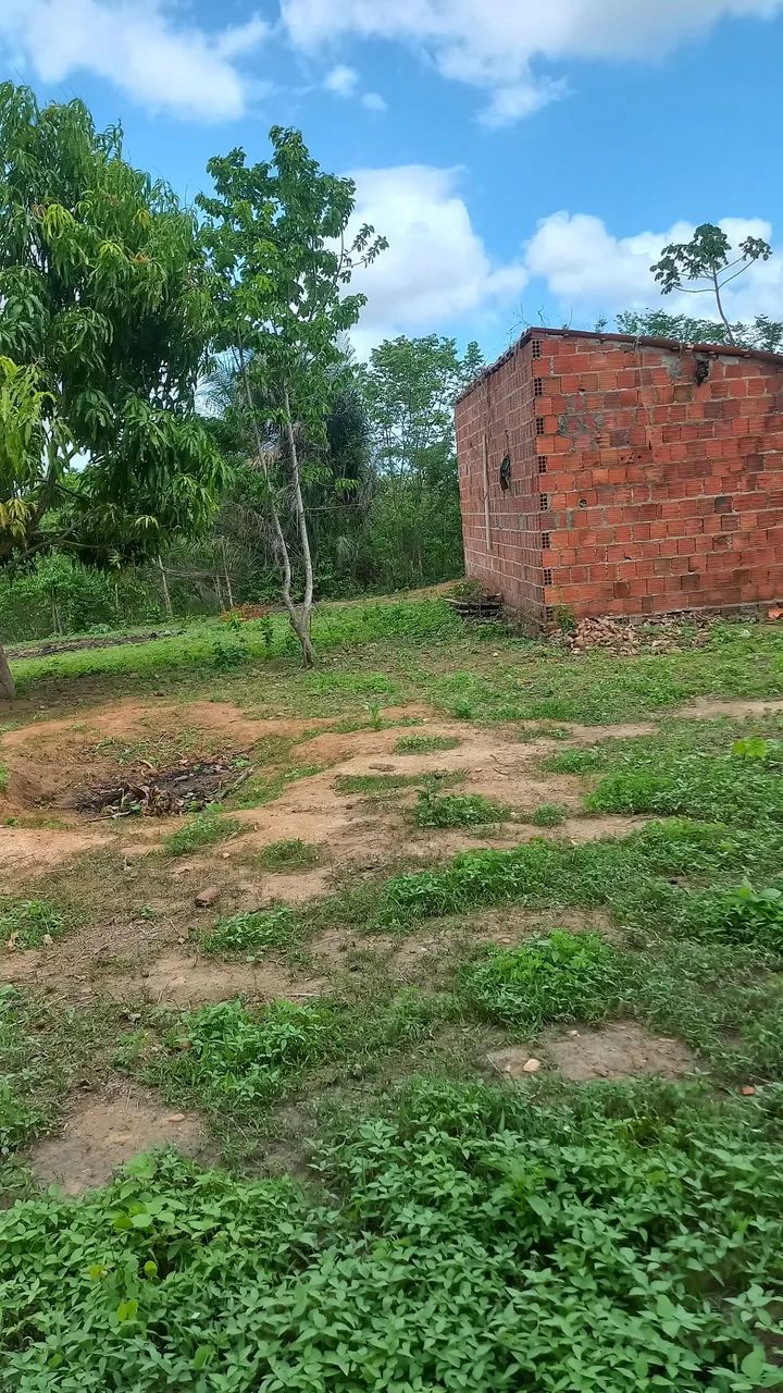 Terreno - Foto 3