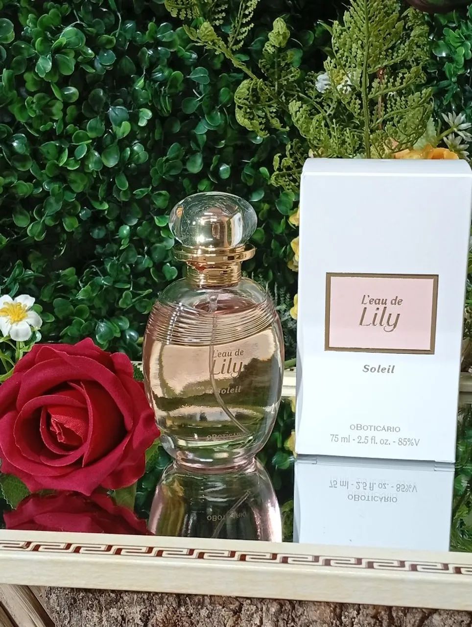 Lily Soleil (Loja On-line de Presentes) - Beleza e Cuidados