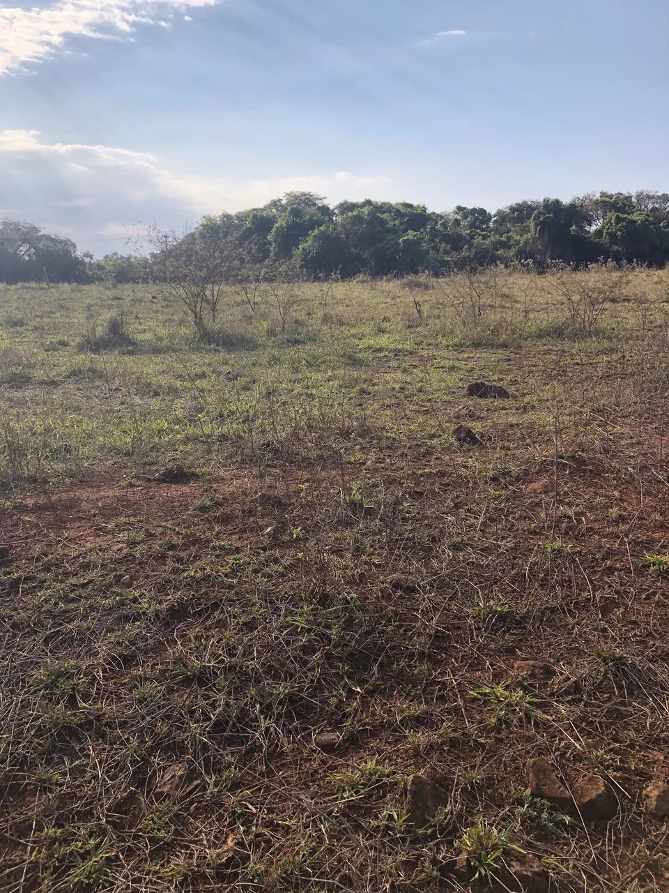 Chácara de 2 hectares às margens do rio Babilônia  - Foto 4