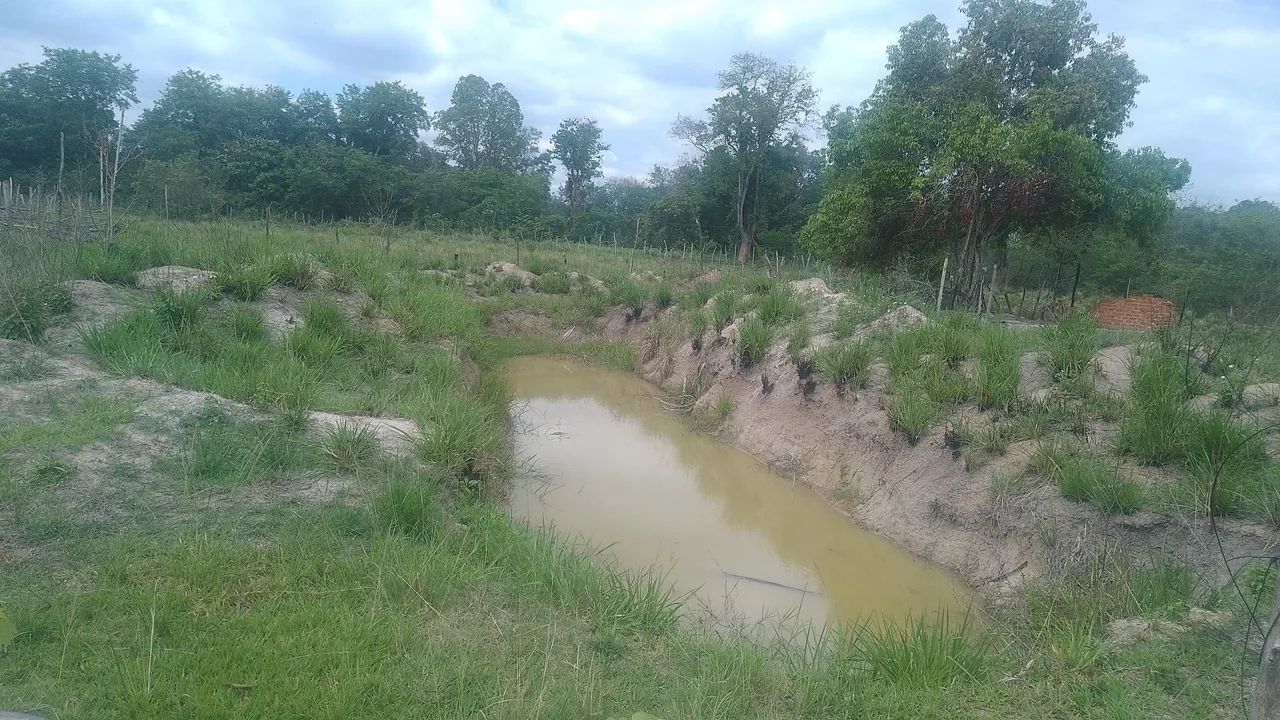 Vendo sitio em nova Iguaçu! - Foto 12