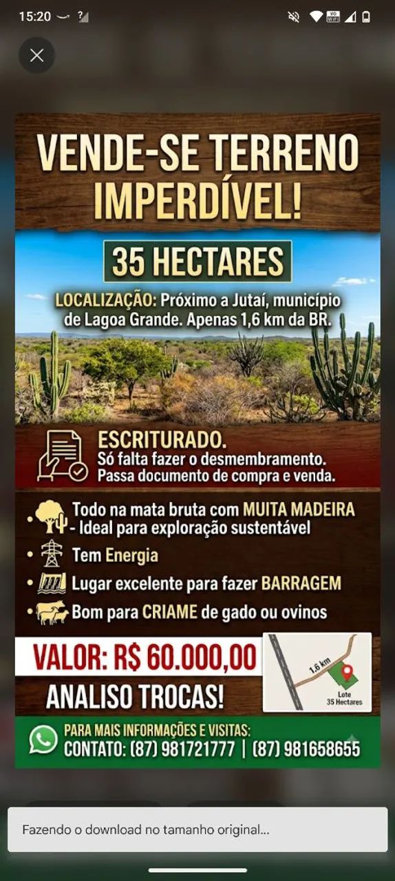 Terreno 