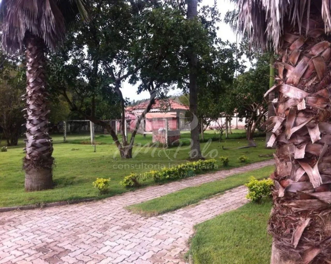 Sítio à venda em Guareí, Aristides da Costa Barros, com 6 quartos, com 12000 m² - Foto 4