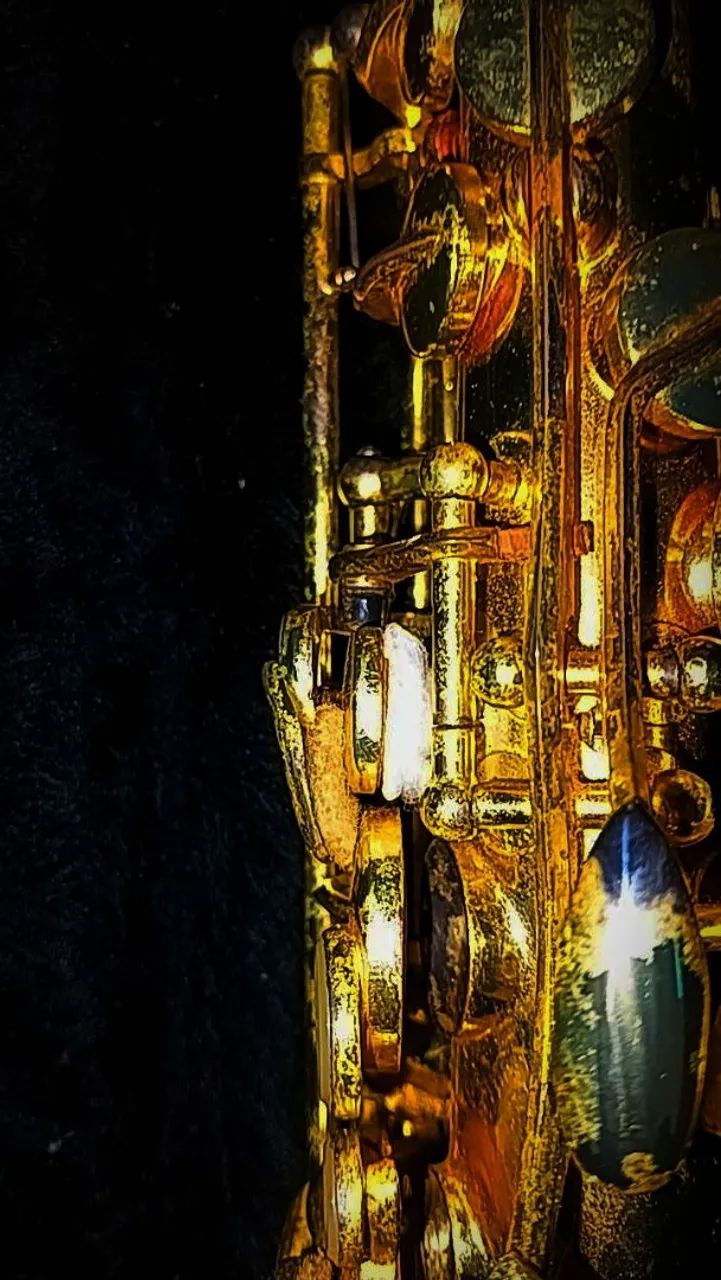 Sax Alto Weril Master  - Foto 4