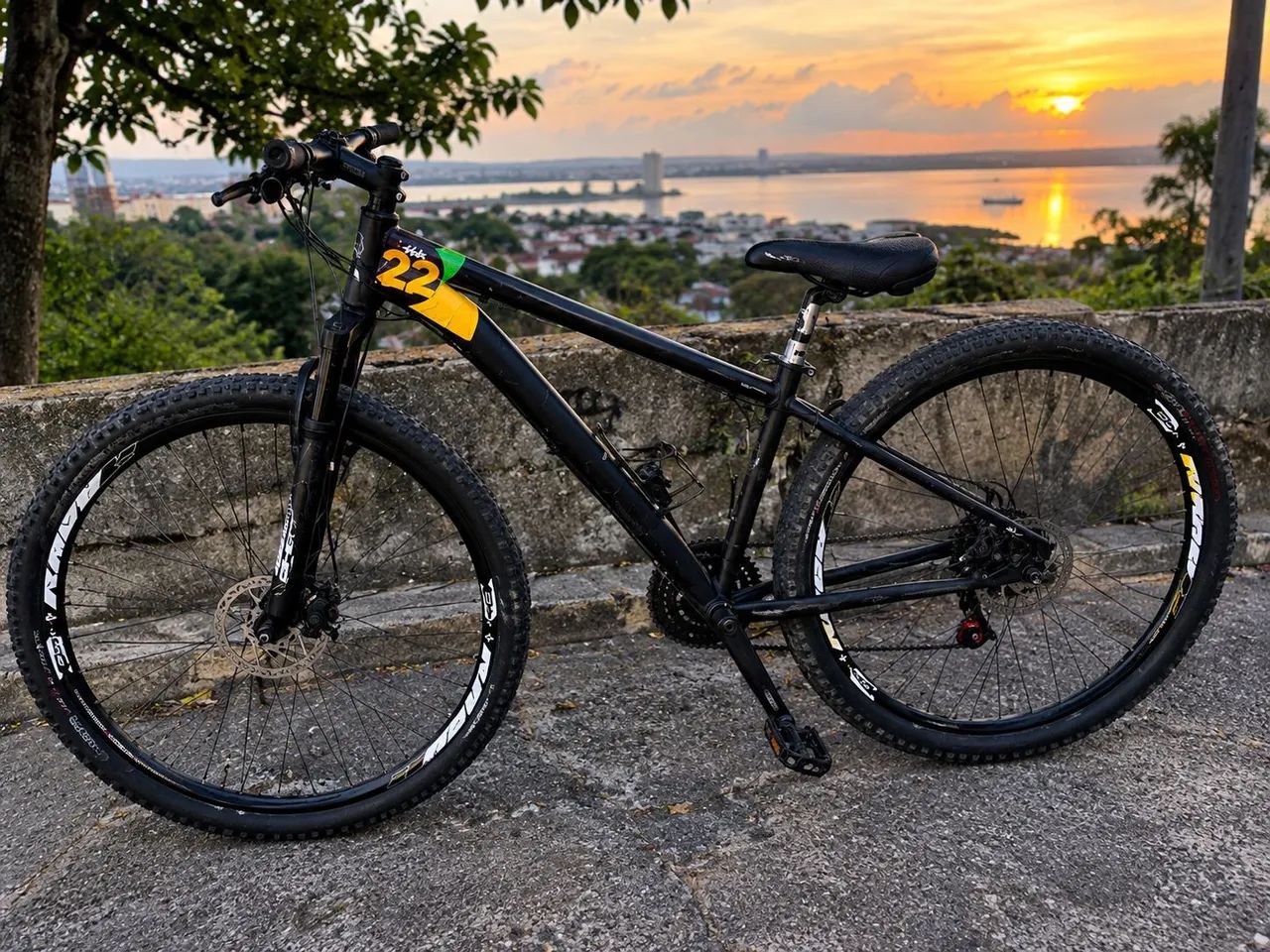Bike aro 29