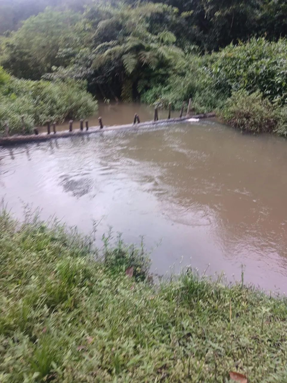 Vendesse terreno em Igarassu  - Foto 4
