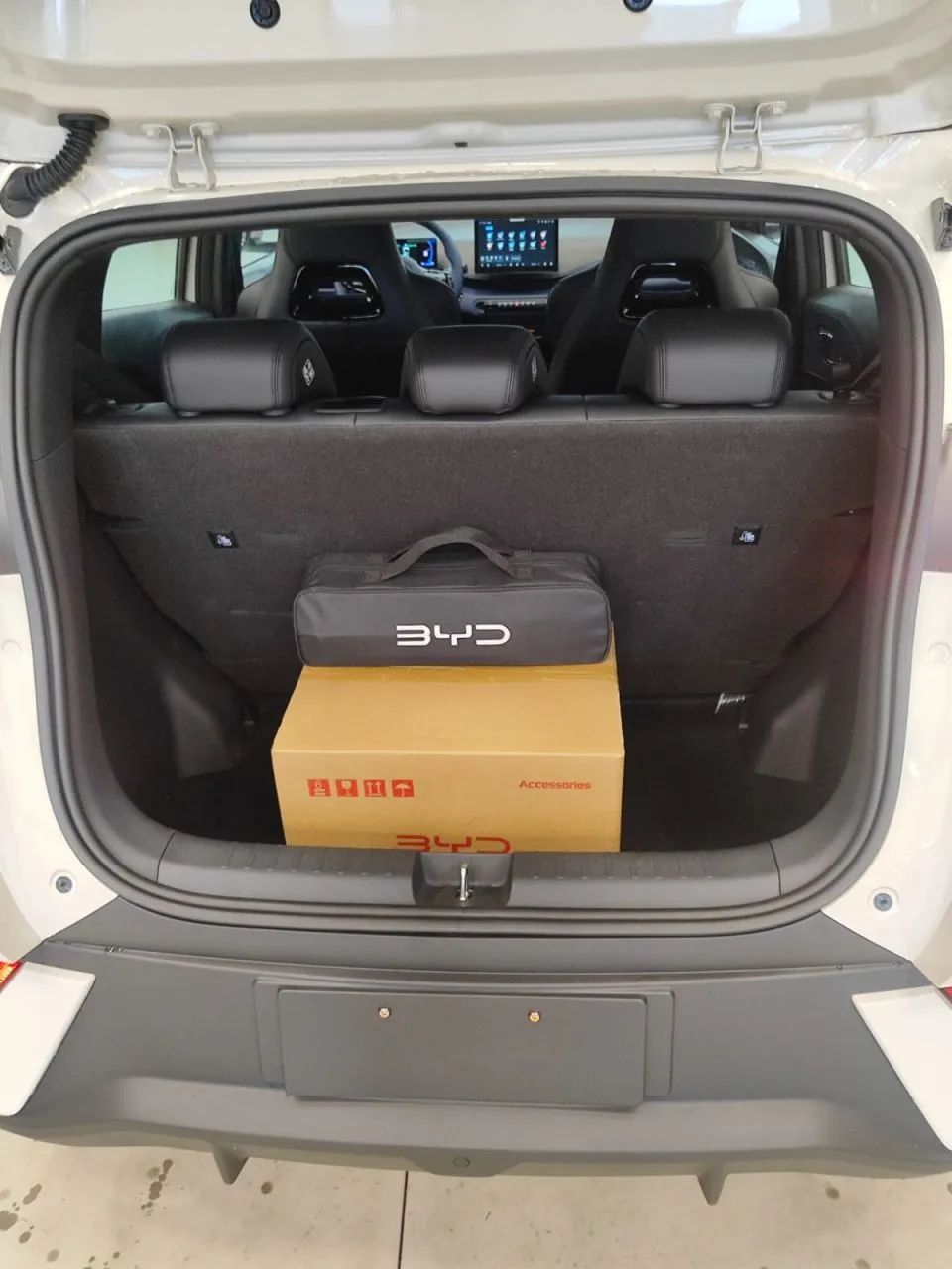 BYD Dolphin GS (Elétrico) 2027 - Foto 5