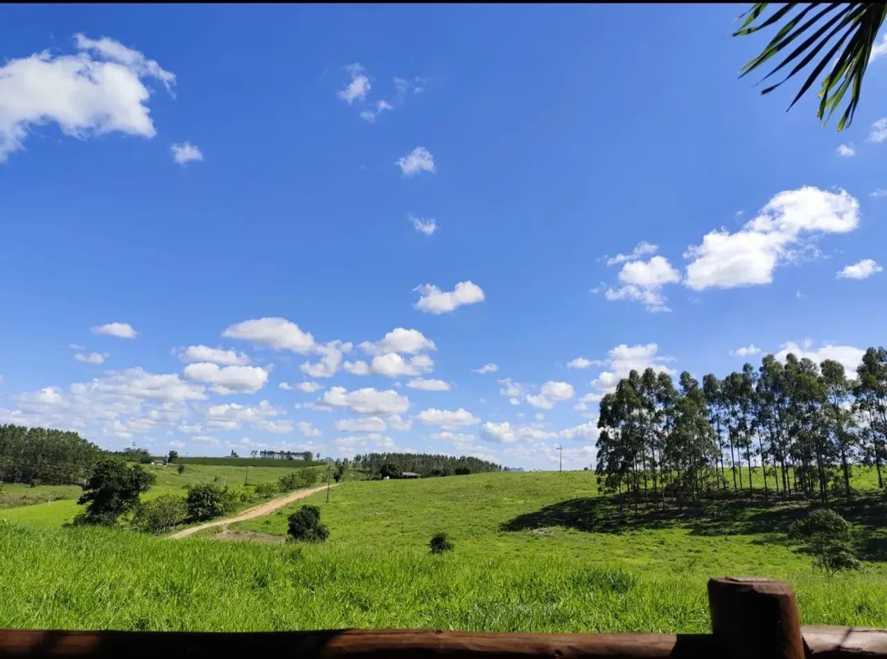 fazenda dupla aptidão pinheiros - Foto 4