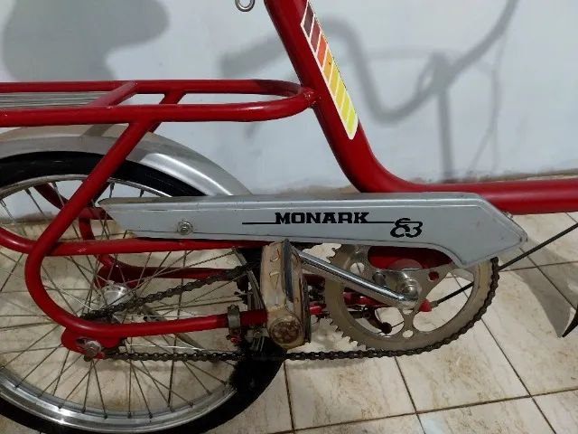 Biclata monareta ano 83 - Foto 3