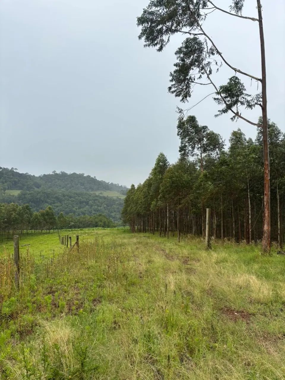 Propriedade rural 