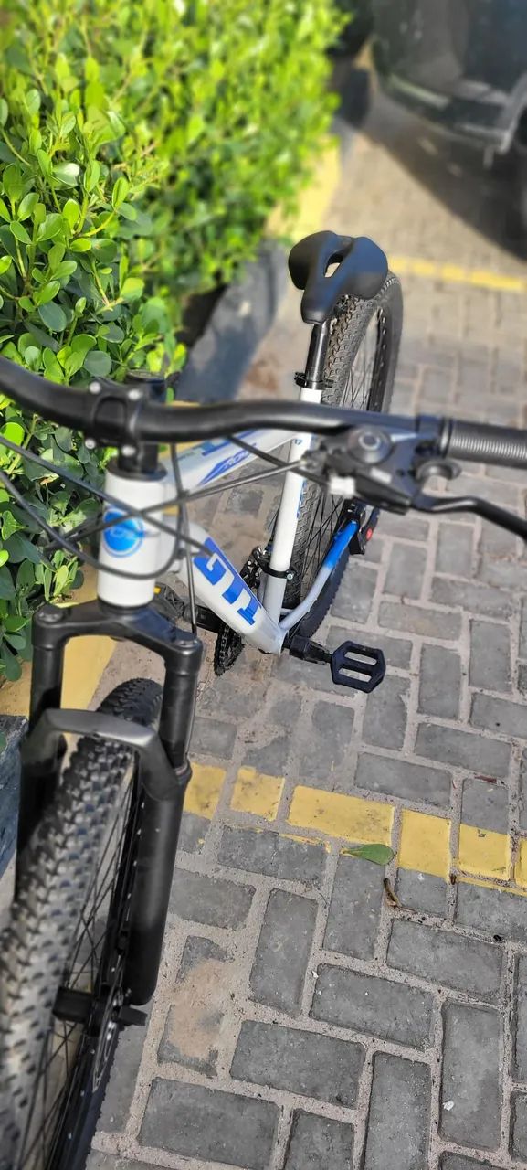 Bicicleta GTI Roma Aro 29 (Cinza) - Foto 2