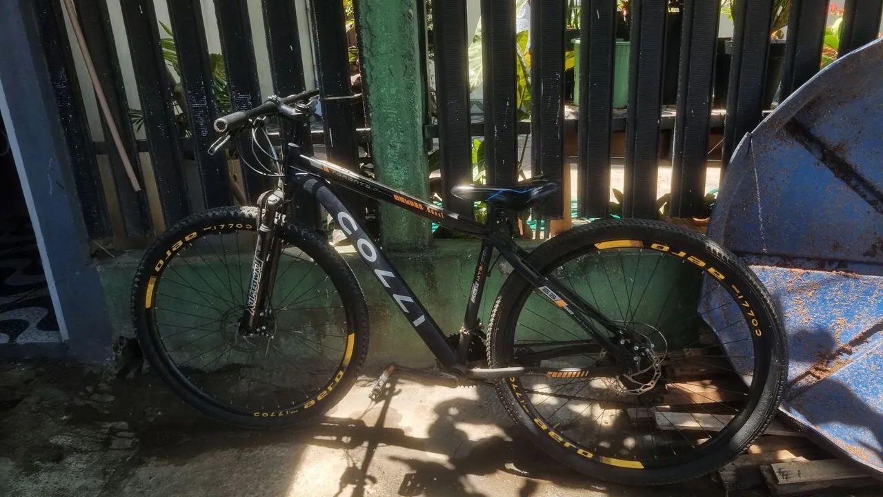 Bicicleta Colli Toronto Aro 29