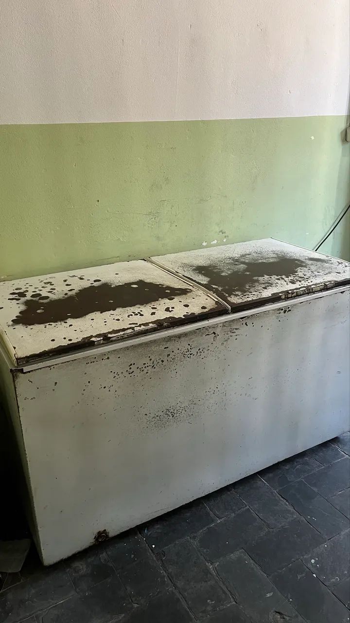 Freezer electrolux SÓ HOJE 800$