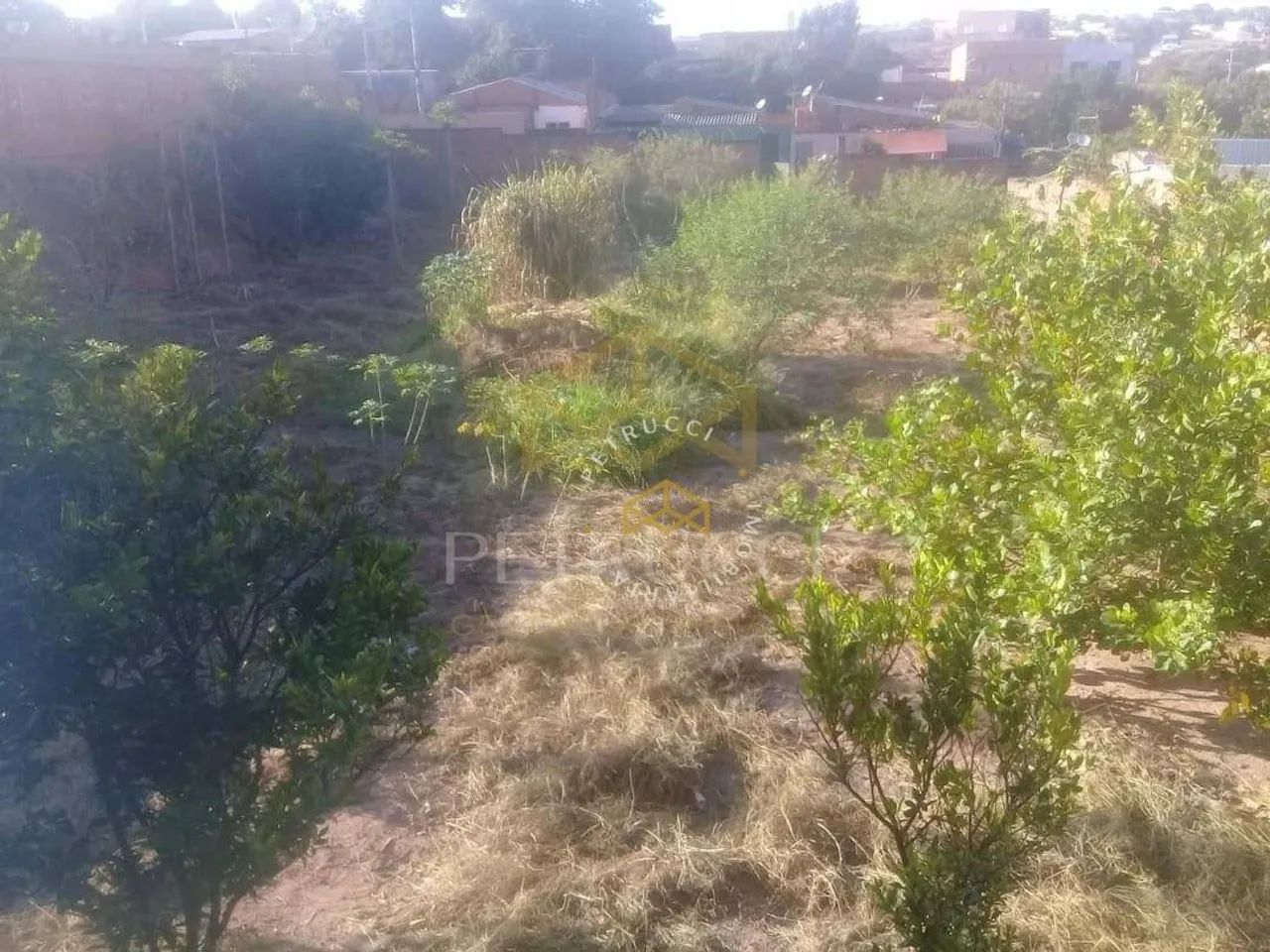 Terreno Residencial à venda, Cidade Satélite Íris, Campinas - TE1235. - Foto 4