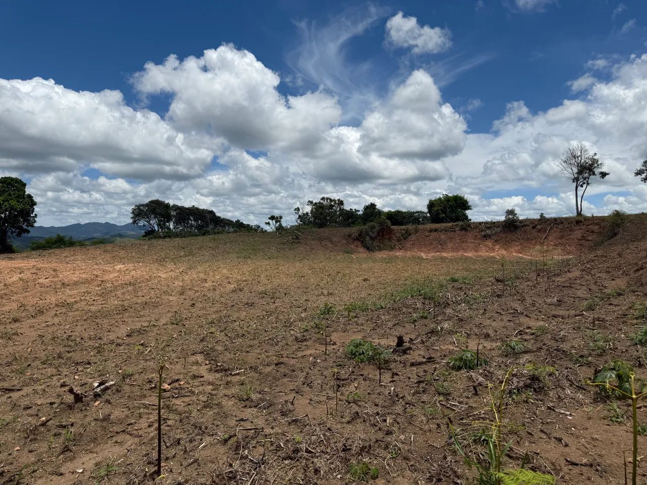 Plator comercial com vista 360°? - Foto 4