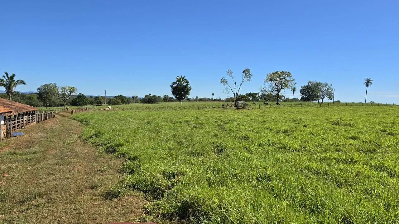 FAZENDA EM MINAÇU G0 - 152 ALQUEIRES - Foto 3