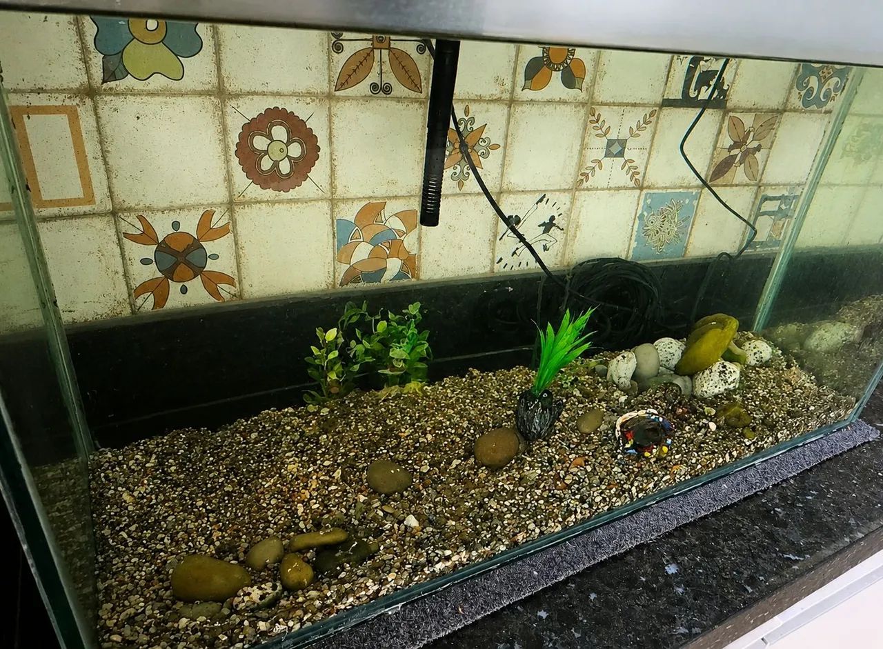 Aquário Jumbo 125L completo - Foto 3