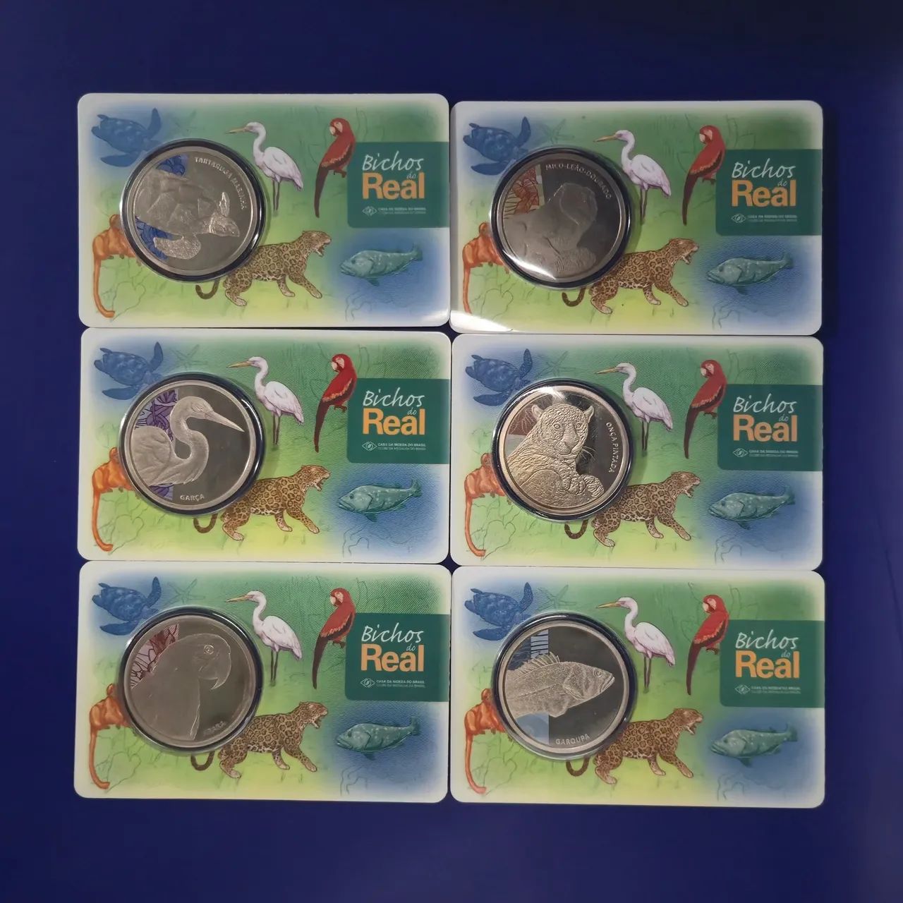  Série completa "Bichos do Real" - 2018