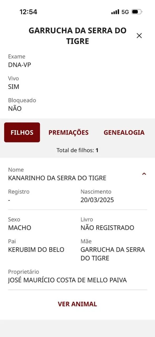 Vendo - Foto 4