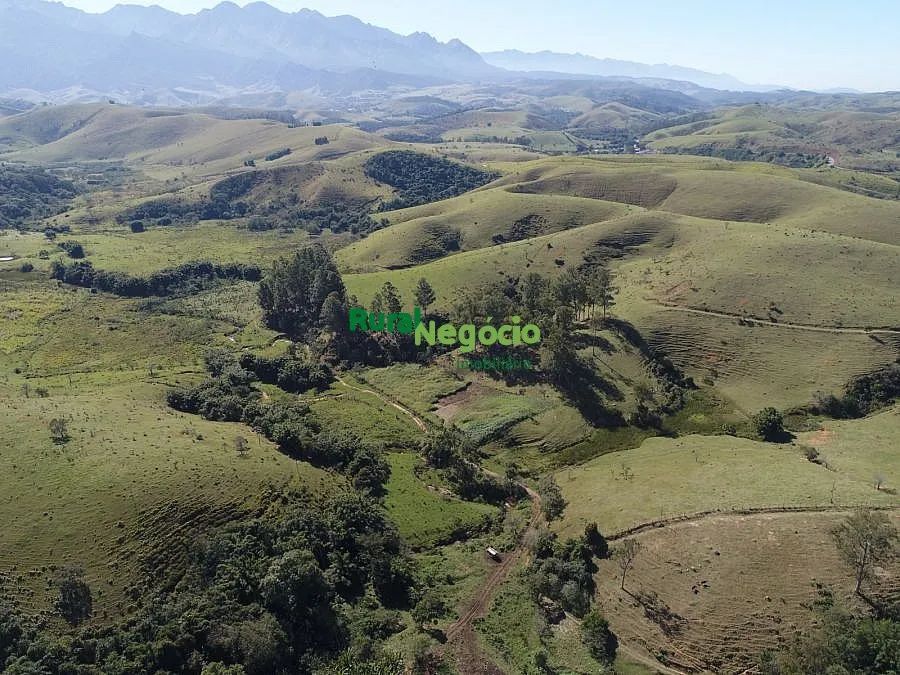 FAZENDA FORMADA PRÓXIMA A CIDADE DE CRUZEIRO  SP - Foto 4