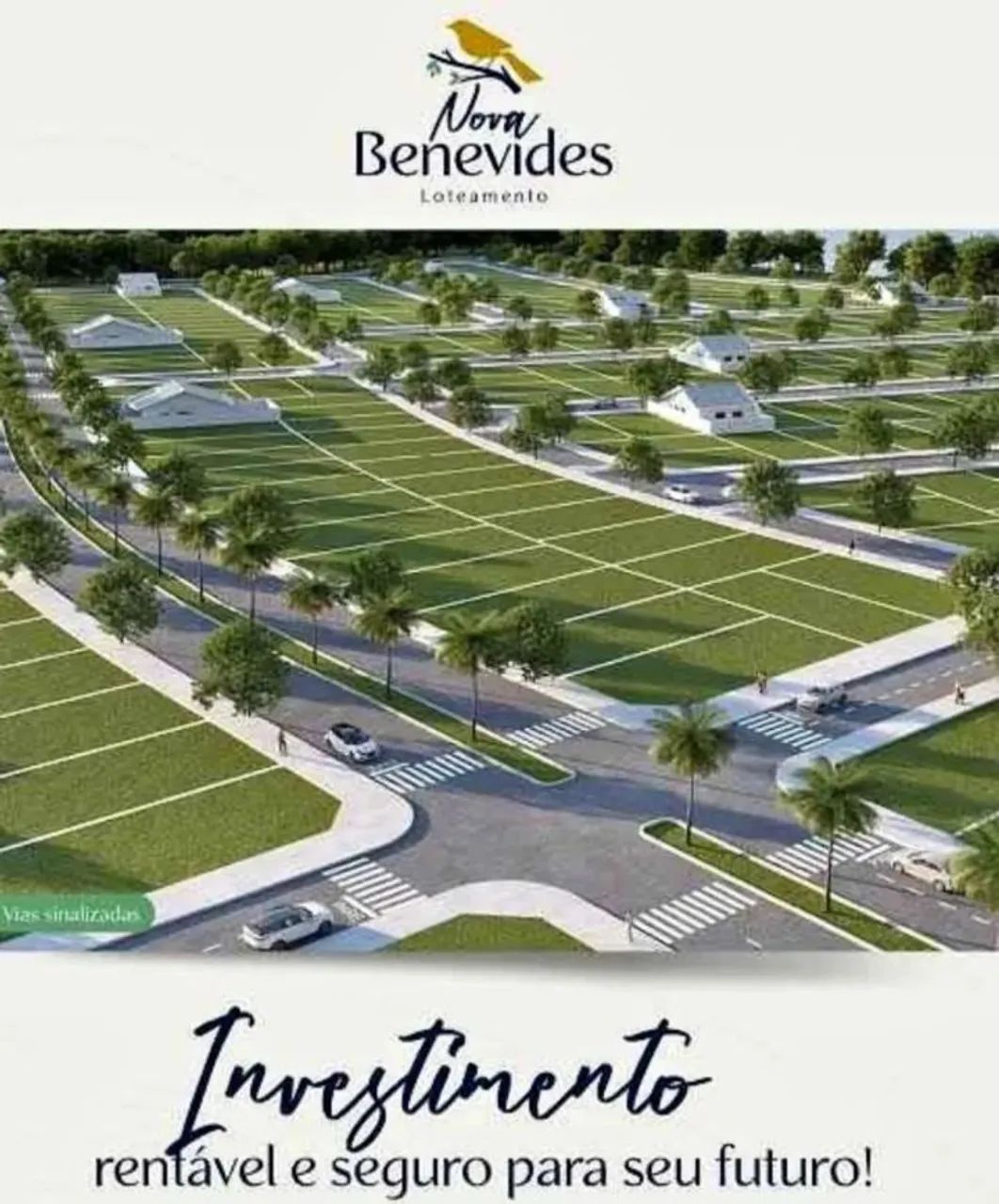 Repasse lote Nova Benevides - Br 316 - Foto 2