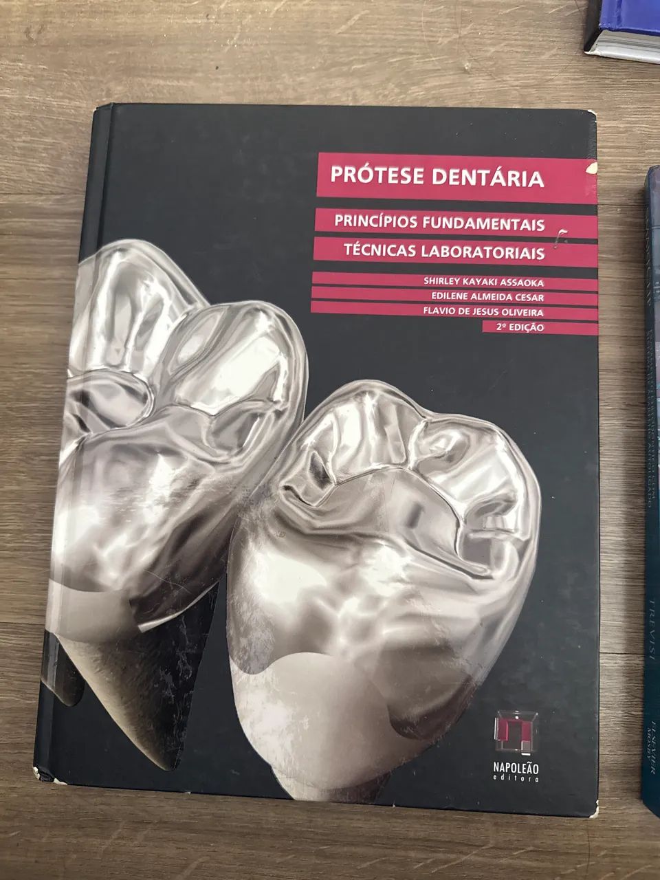 Prótese Dentária - Princípios Fundamentais e Técnicas Laboratoriais 