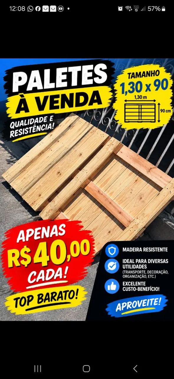 Paletes novo