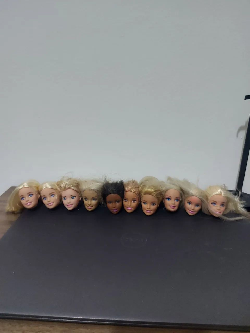 10 cabeças de barbie