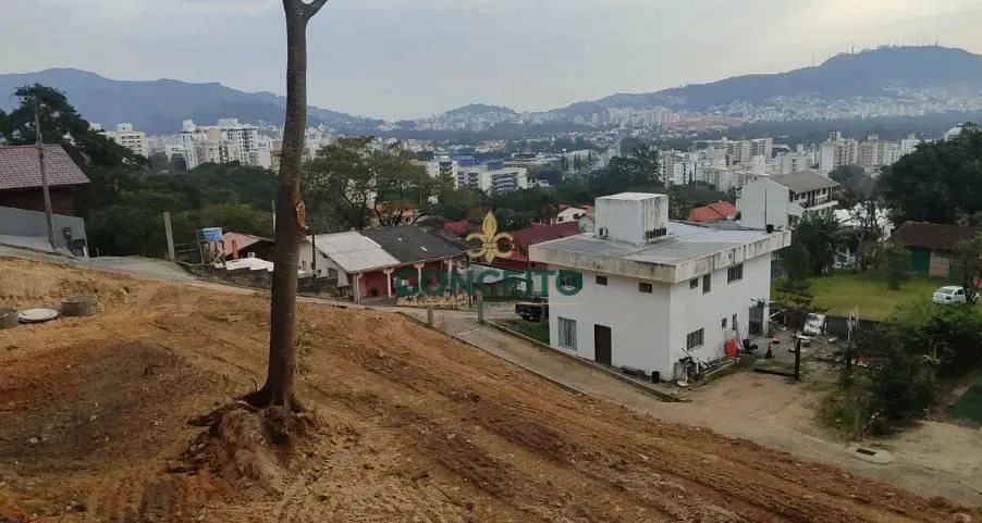 Lote/Terreno à Venda, Itacorubi - Florianópolis