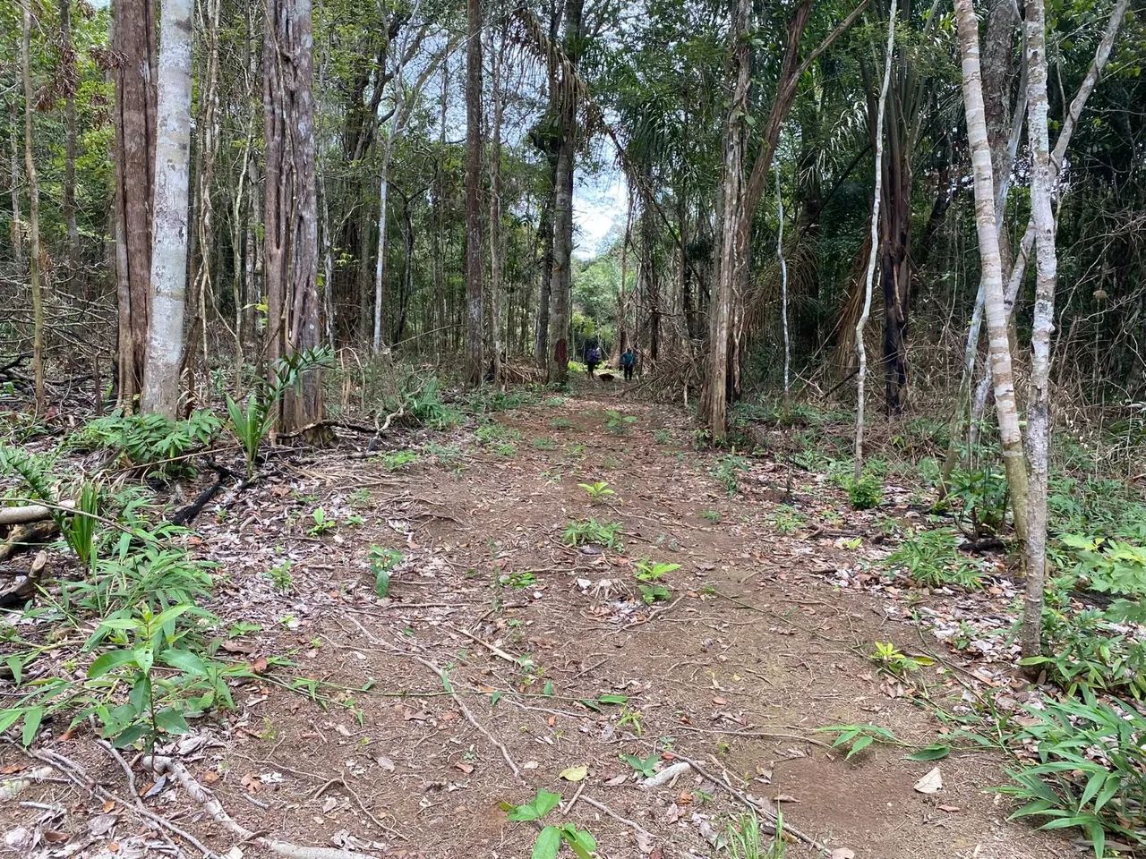 Vendo terreno no Mazagão  - Foto 2