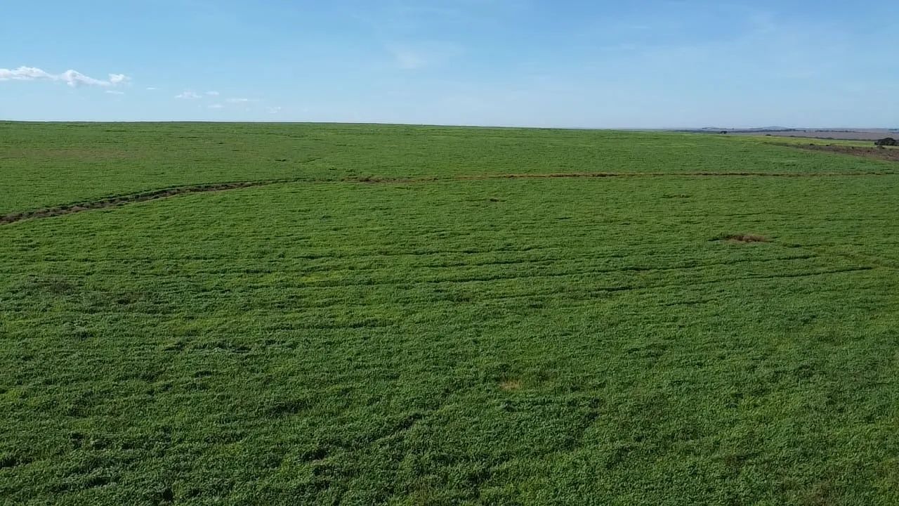 Fazenda em Doverlândia-go  - Foto 4