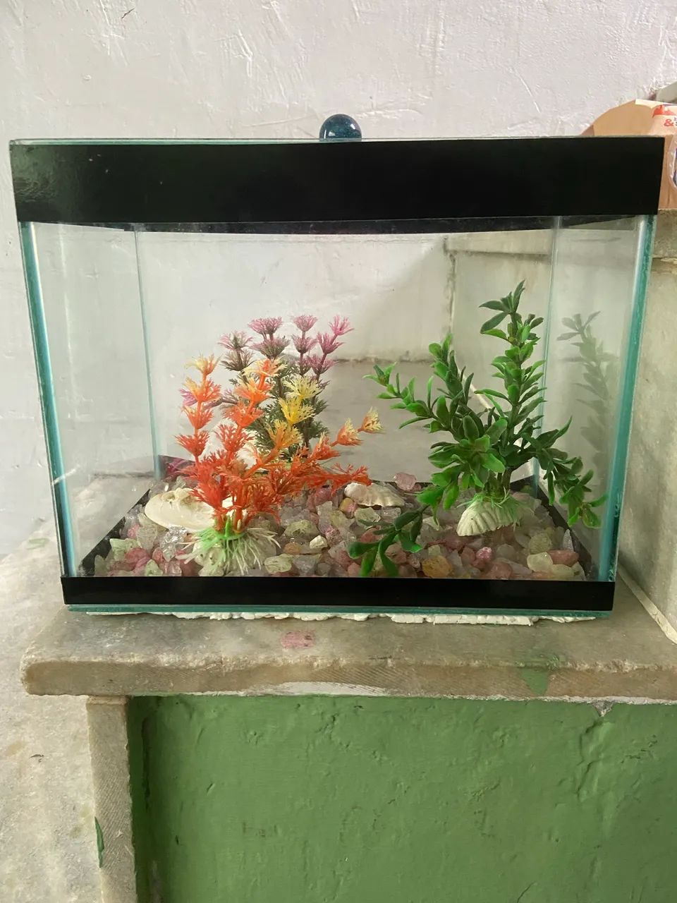 Aquários  - Foto 5