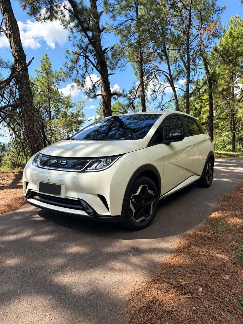 BYD Dolphin EV (Elétrico) 2024