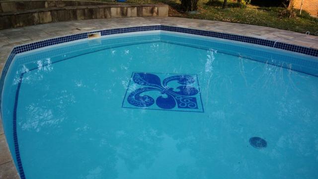 Fundo de piscina golfinho e outros desenhos - Foto 2