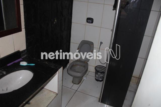 Casa à venda com 3 dormitórios em Serrano, Belo horizonte cod:742242 - Foto 10