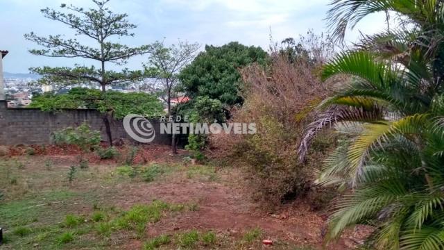 Terreno à venda em Cenáculo, Belo horizonte cod:646005 - Foto 5