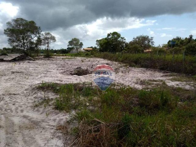 Terreno para alugar, 2.500 m² por R$ 20.000/ano Trancoso - Porto Seguro/BA - Foto 6