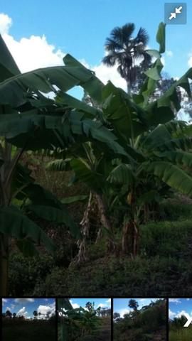 Fazenda bruta em Bom Jesus - PI - Foto 6