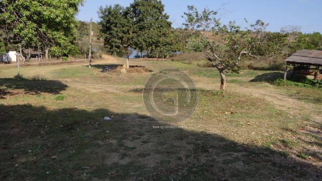 Chácara em área urbana para investimento - Foto 2