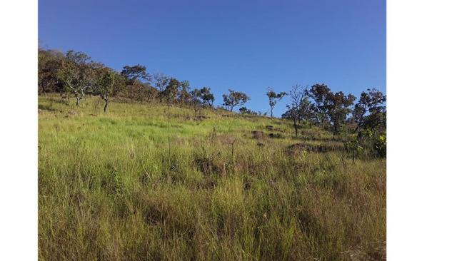 1450 Hectares, Oportunidade, Pecuária Santo Antônio do Leverger-MT - Foto 2