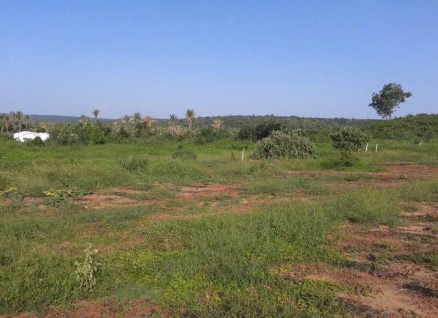 Fazenda Gameleira / 1562 hectares / documentação completa / próximo a Colinas - Foto 4