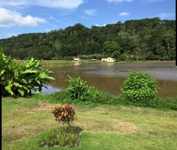 Fazenda - Sul da Bahia - Foto 14