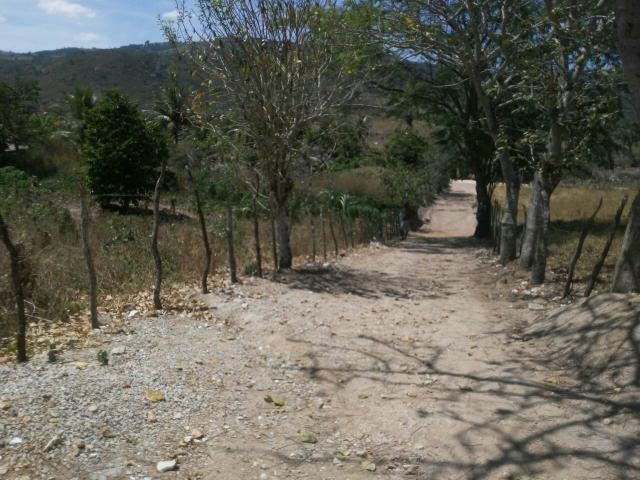 Terreno 30x75 muito bom pé de côco,pinha, milho, macaxeira, feijão,manga, limão