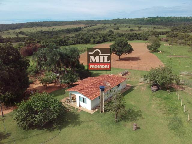 Vende ou troca por terra maior Chácara 5 Alqueires São Miguel do Passa Quatro-GO - Foto 13