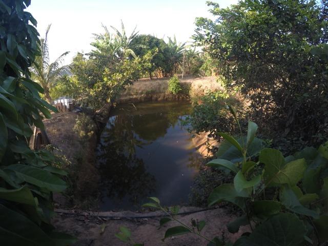 Sítio em Chã Grande PE - Foto 19